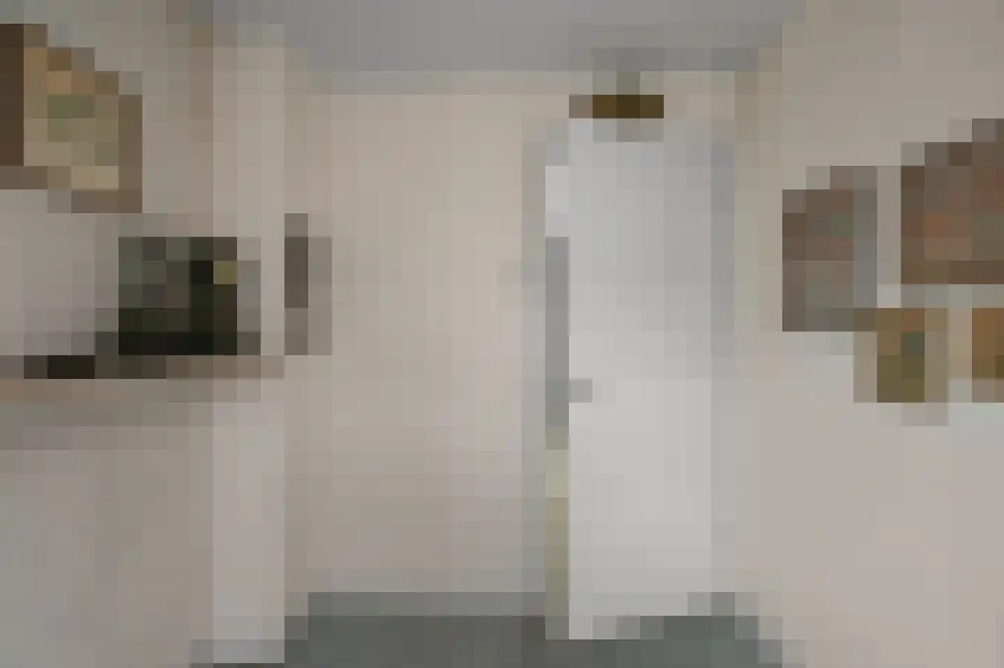Pachterstraat 1 Krommenie thumbnail 22