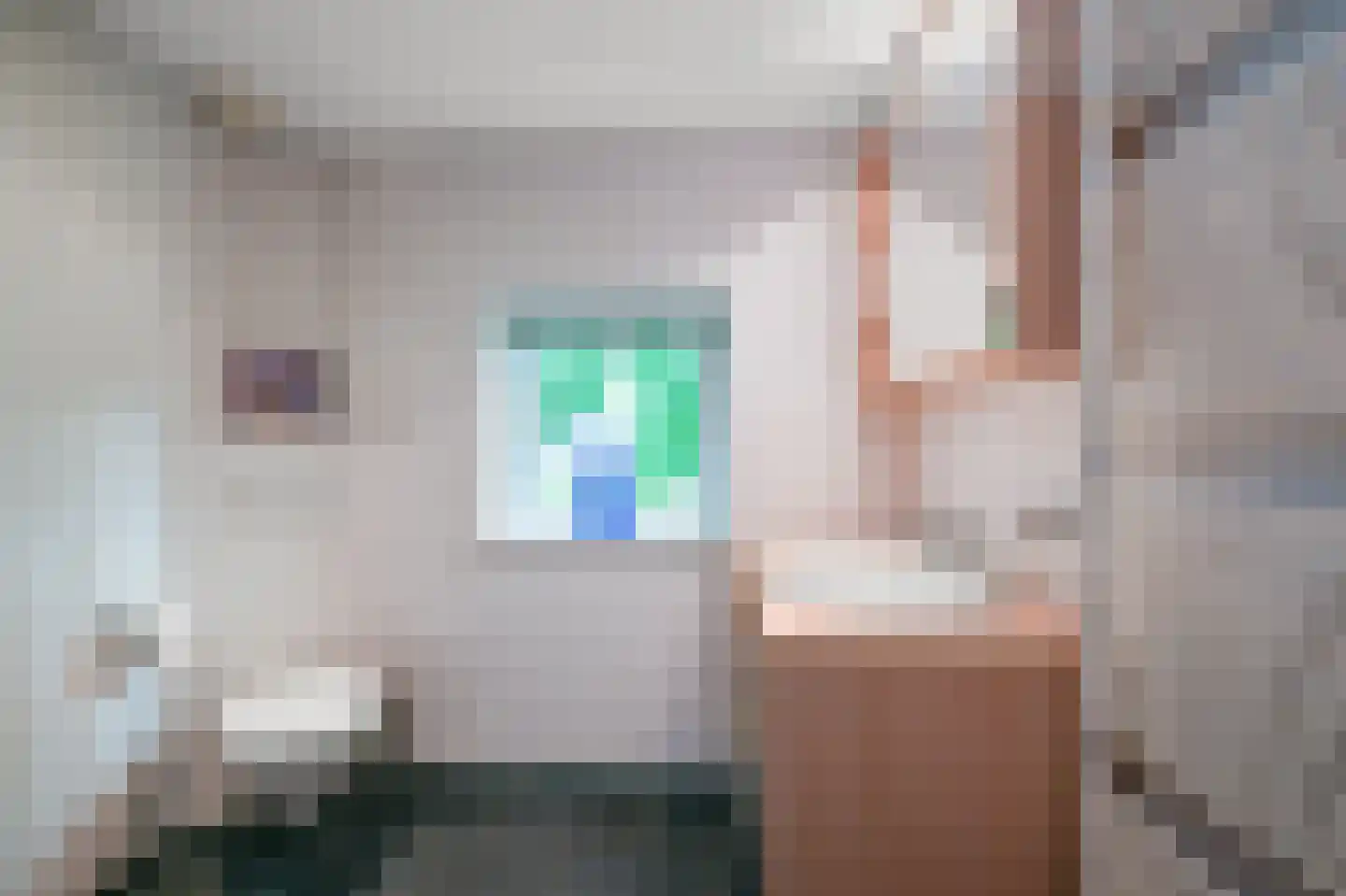 Pachterstraat 1 Krommenie thumbnail 26