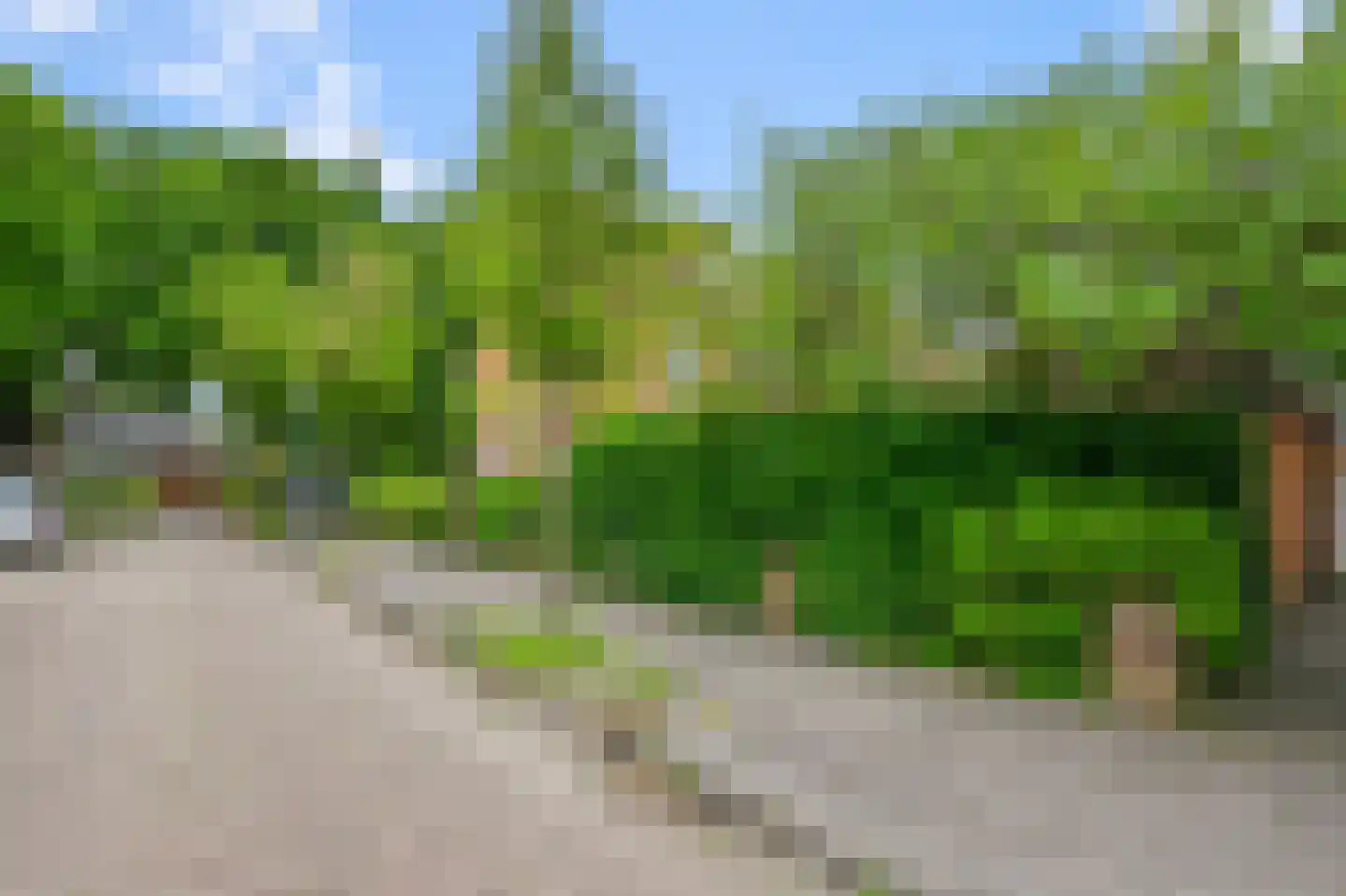 Pachterstraat 1 Krommenie thumbnail 42