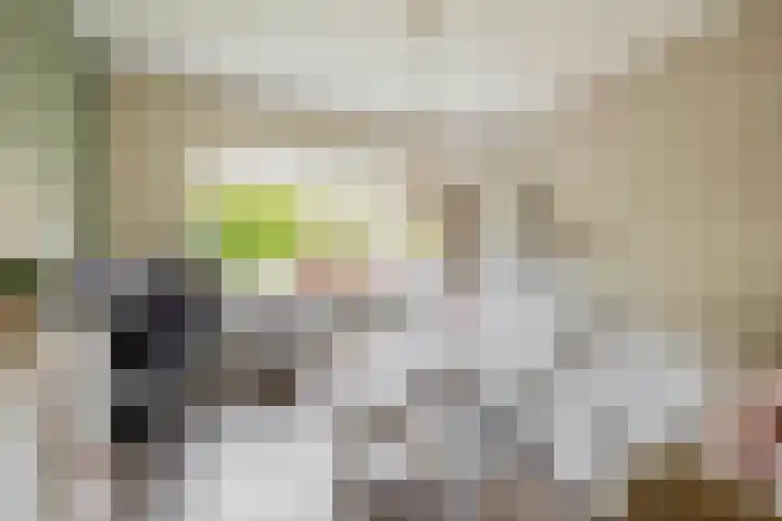 Pachterstraat 7 Krommenie thumbnail 10