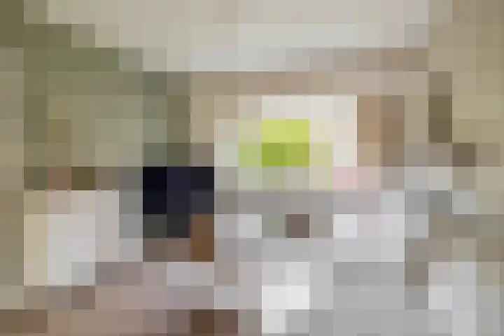 Pachterstraat 7 Krommenie thumbnail 11