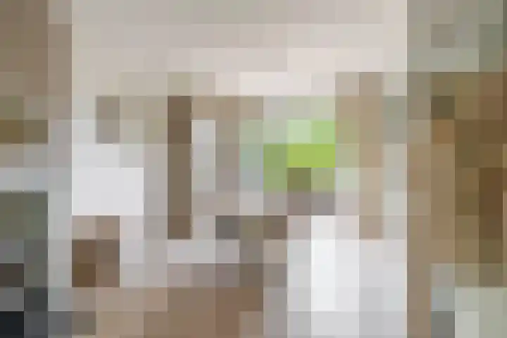 Pachterstraat 7 Krommenie thumbnail 13