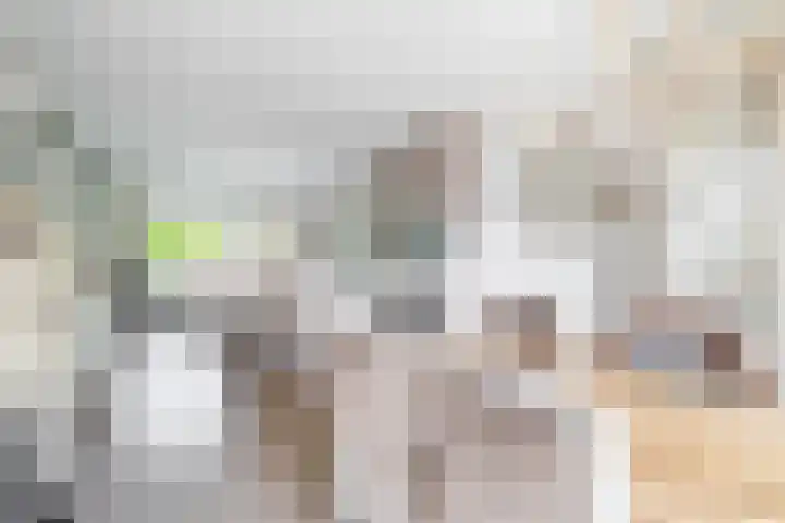 Pachterstraat 7 Krommenie thumbnail 15