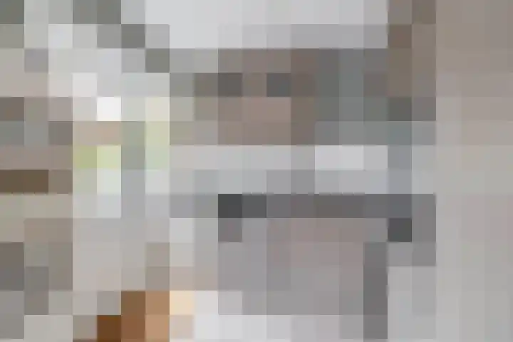 Pachterstraat 7 Krommenie thumbnail 17