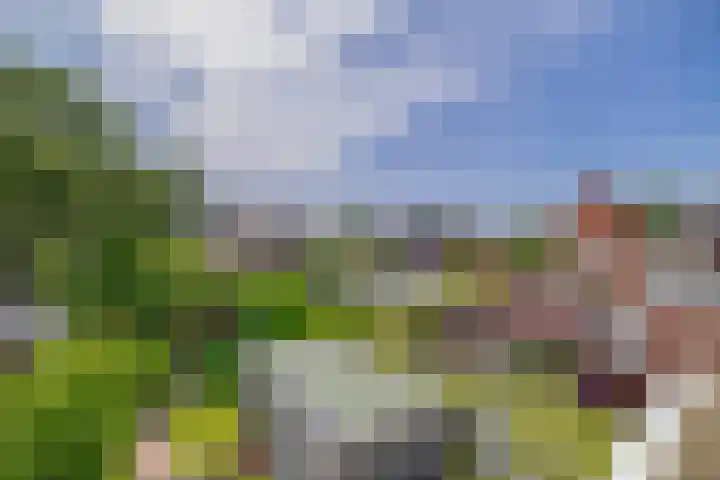 Pachterstraat 7 Krommenie thumbnail 22