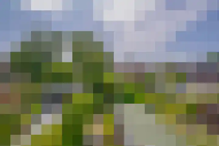 Pachterstraat 7 Krommenie thumbnail 23