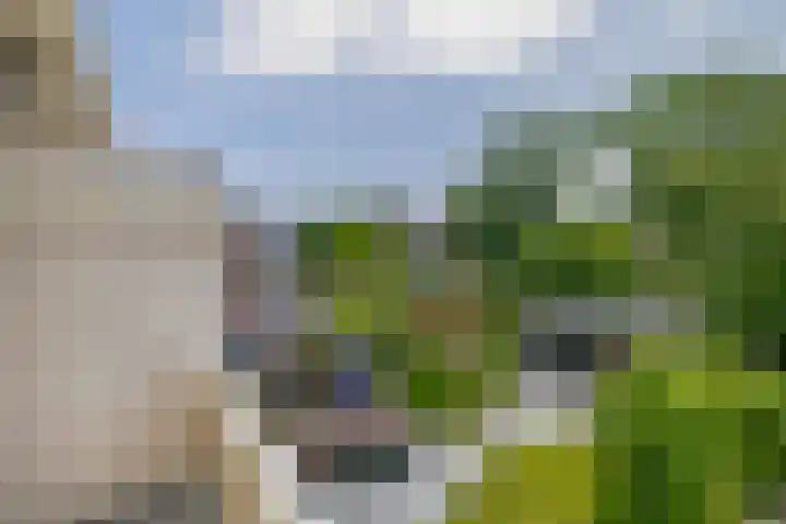 Pachterstraat 7 Krommenie thumbnail 24