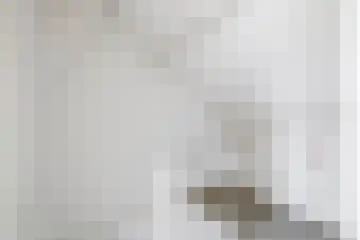 Pachterstraat 7 Krommenie thumbnail 31