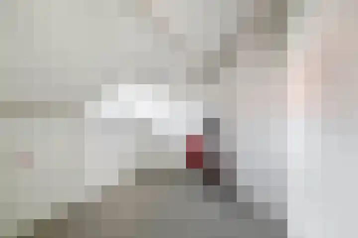 Pachterstraat 7 Krommenie thumbnail 32