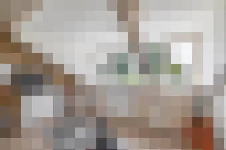 Pachterstraat 7 Krommenie thumbnail 33