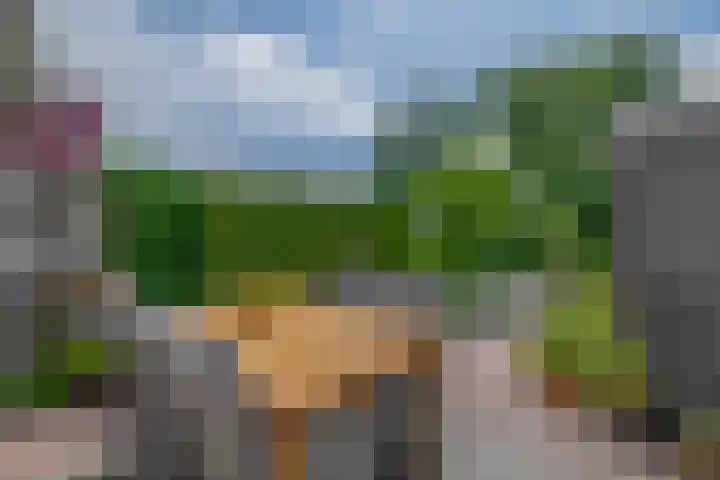Pachterstraat 7 Krommenie thumbnail 39