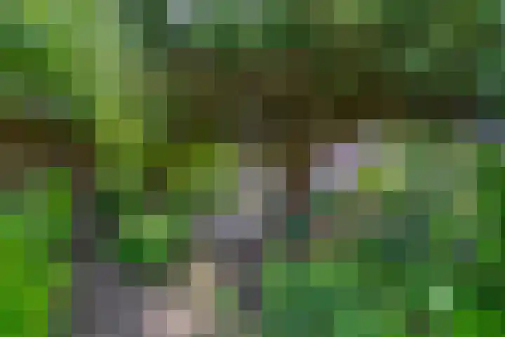 Pachterstraat 7 Krommenie thumbnail 4