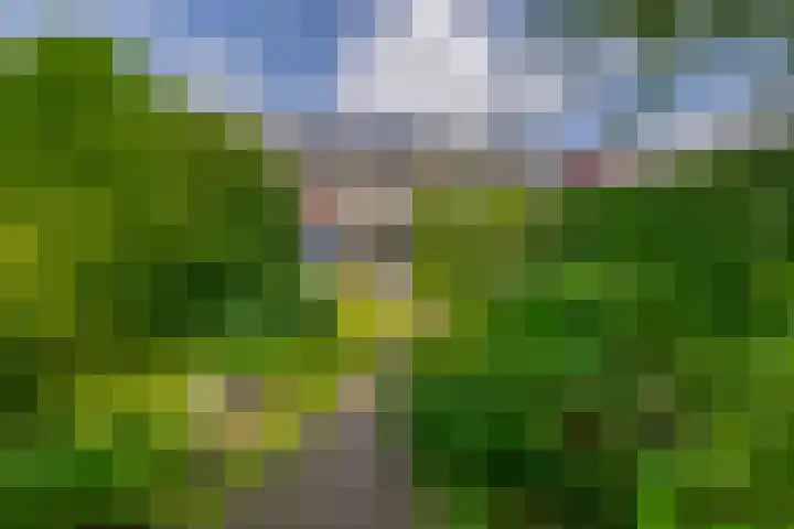 Pachterstraat 7 Krommenie thumbnail 40