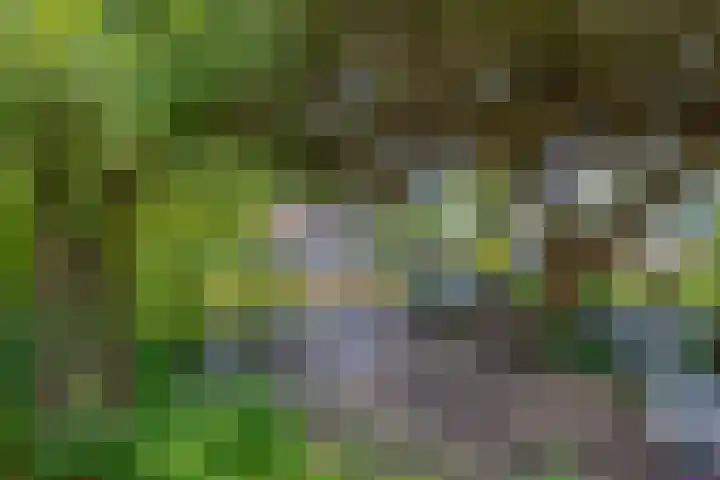 Pachterstraat 7 Krommenie thumbnail 41