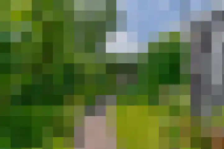 Pachterstraat 7 Krommenie thumbnail 42