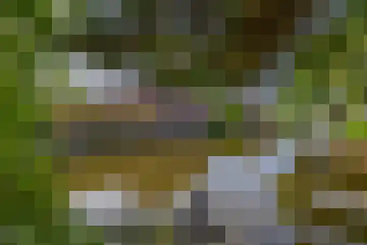 Pachterstraat 7 Krommenie thumbnail 43