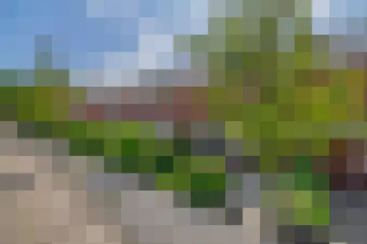 Pachterstraat 7 Krommenie thumbnail 5
