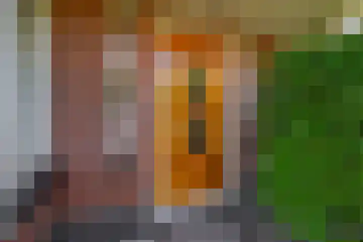 Pachterstraat 7 Krommenie thumbnail 6