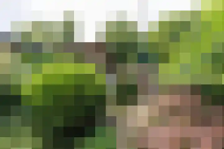 Pachtersveld 111 Apeldoorn thumbnail 25