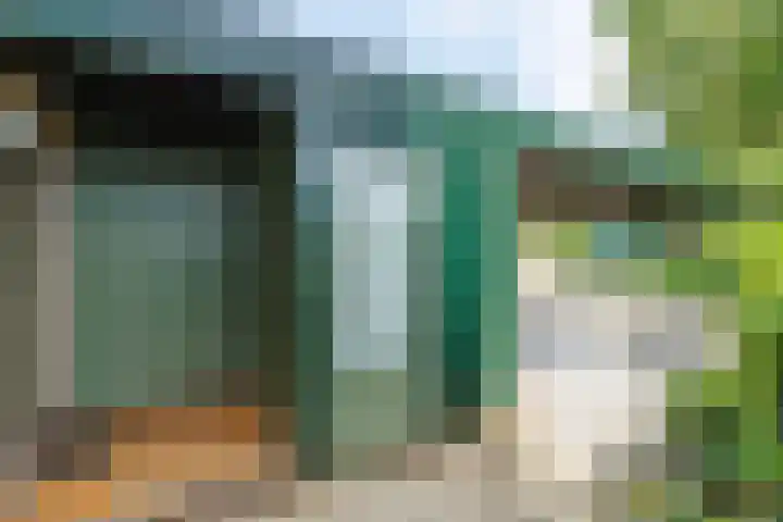 Pachtersveld 111 Apeldoorn thumbnail 27