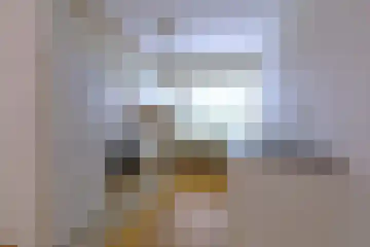 Pachtersveld 111 Apeldoorn thumbnail 9