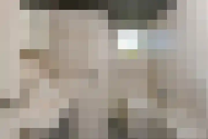 Pachtersveld 206 Apeldoorn thumbnail 16