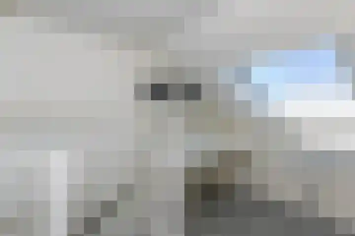 Pachtersveld 206 Apeldoorn thumbnail 19