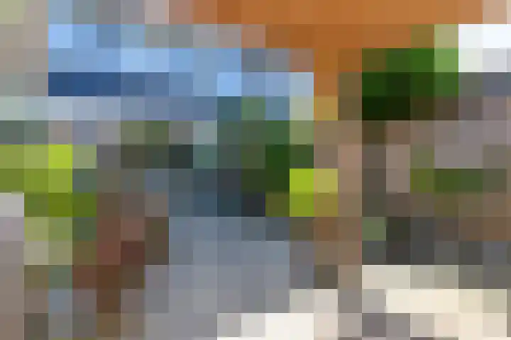 Pachtersveld 206 Apeldoorn thumbnail 28