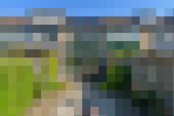 Pachtersveld 5 Apeldoorn thumbnail 24