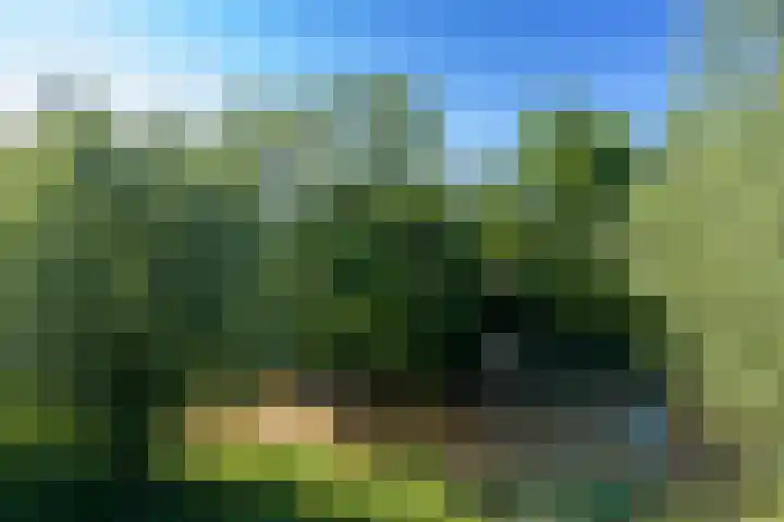 Pachtersveld 5 Apeldoorn thumbnail 25