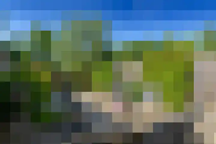 Pachtersveld 5 Apeldoorn thumbnail 26