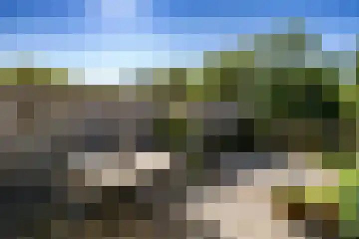 Pachtersveld 5 Apeldoorn thumbnail 27