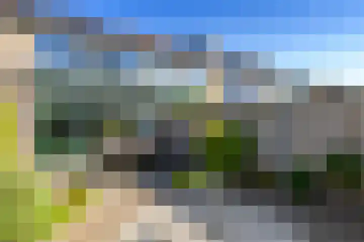 Pachtersveld 5 Apeldoorn thumbnail 29