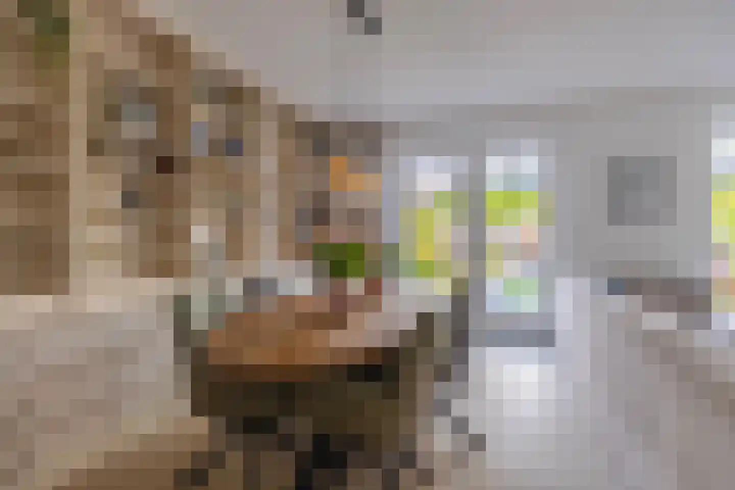 Pachterwaard 29 Arnhem thumbnail 13