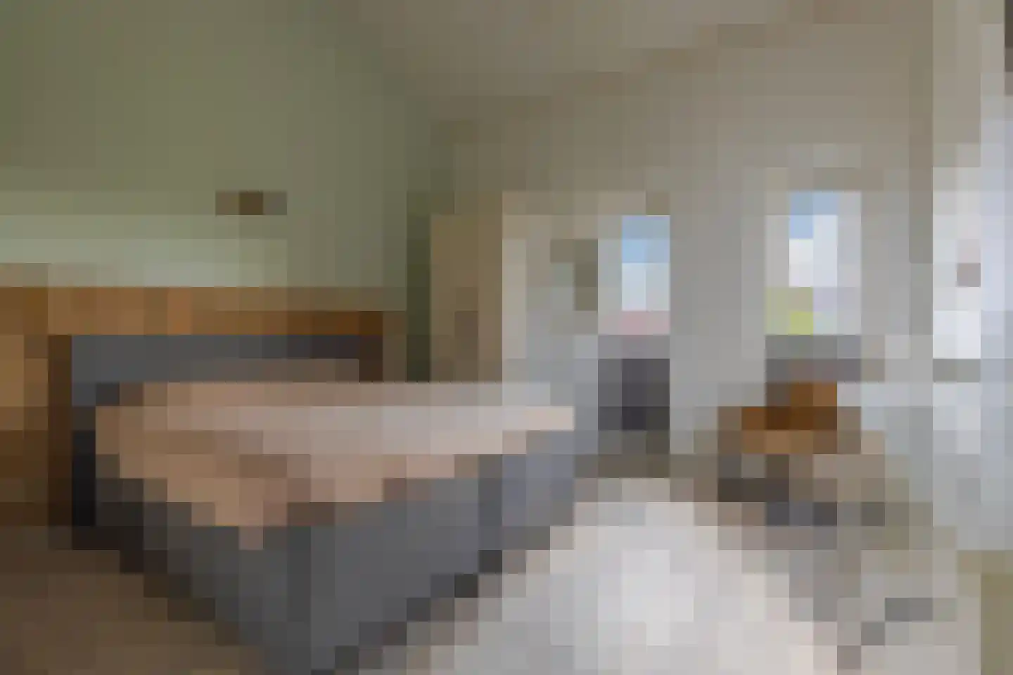 Pachterwaard 29 Arnhem thumbnail 30