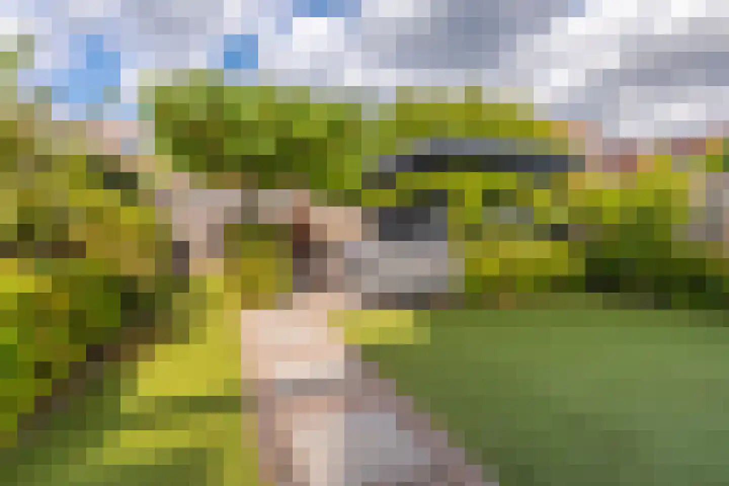 Pachterwaard 29 Arnhem thumbnail 37