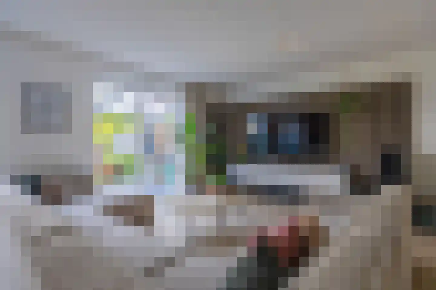 Pachterwaard 29 Arnhem thumbnail 9