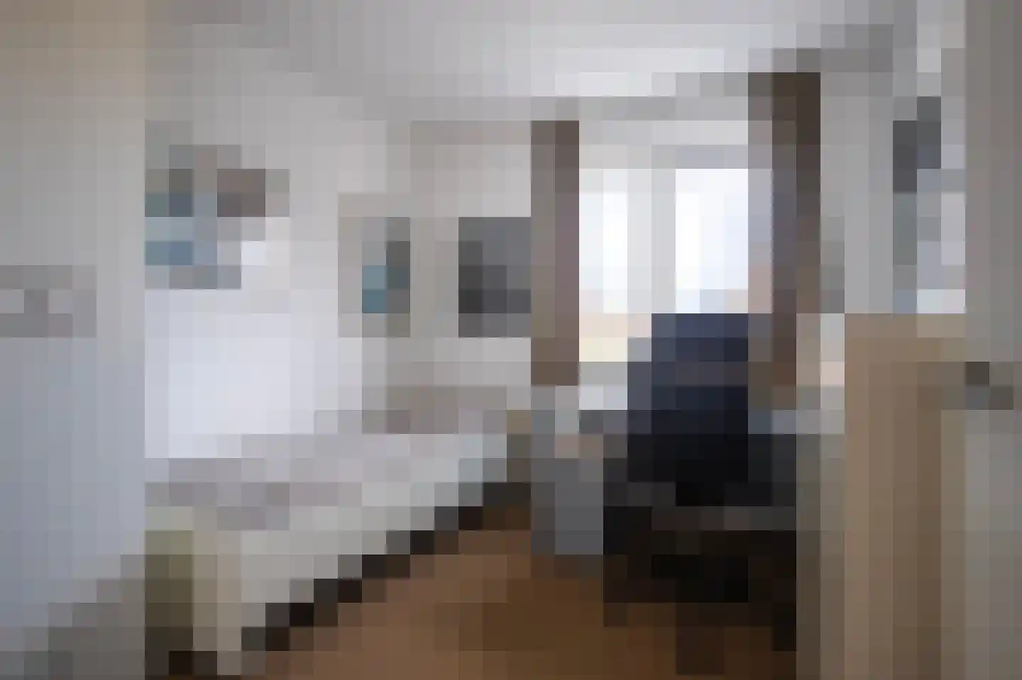 Pachterwaard 33 Arnhem thumbnail 19