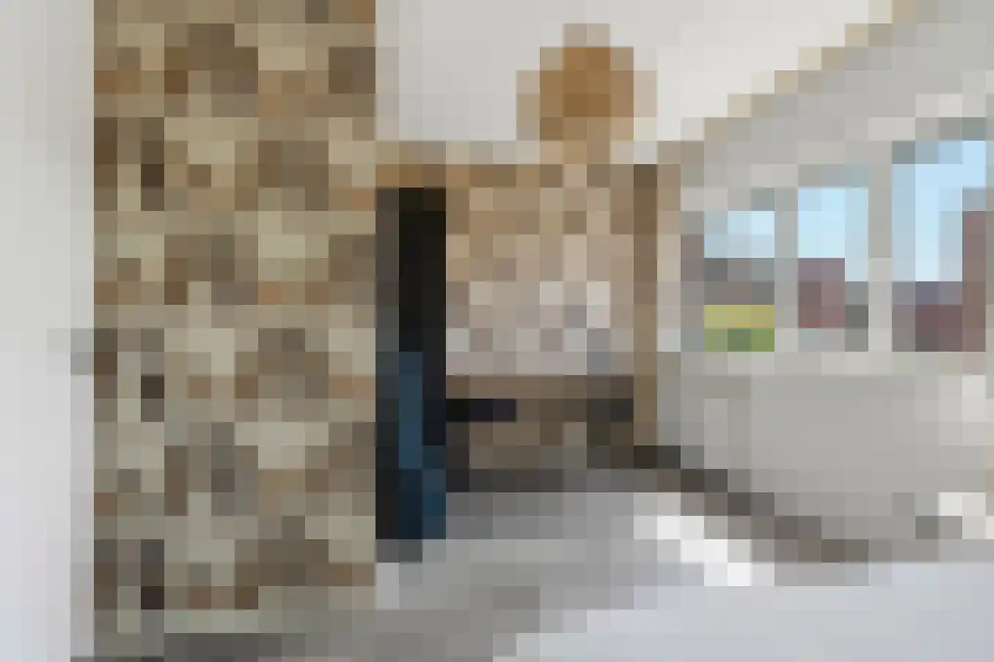 Pachterwaard 38 Arnhem thumbnail 14