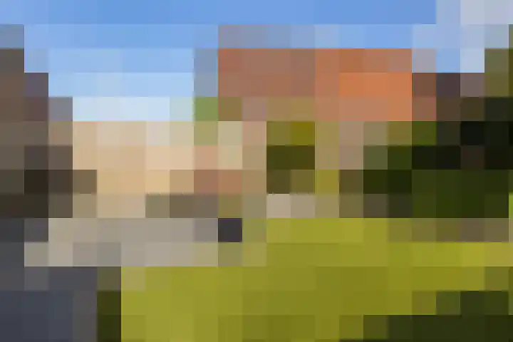 Pachterwaard 39 Arnhem thumbnail 26