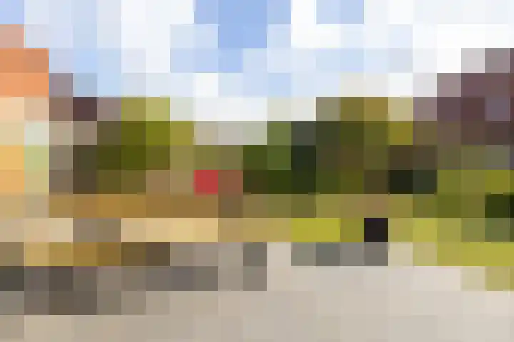 Pachterwaard 39 Arnhem thumbnail 27