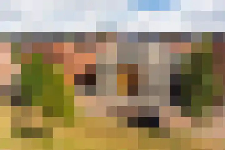 Pachterwaard 39 Arnhem thumbnail 30