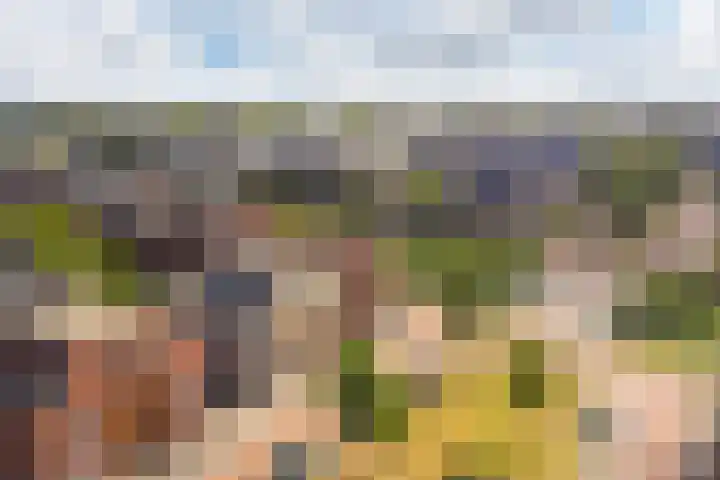Pachterwaard 39 Arnhem thumbnail 32