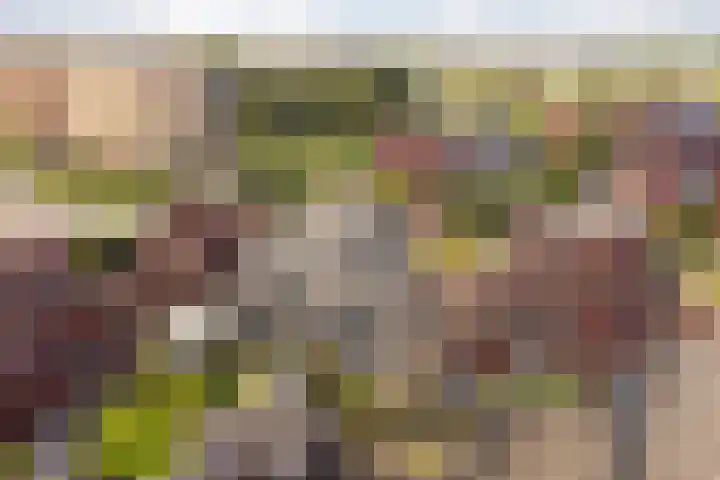 Pachterwaard 39 Arnhem thumbnail 33