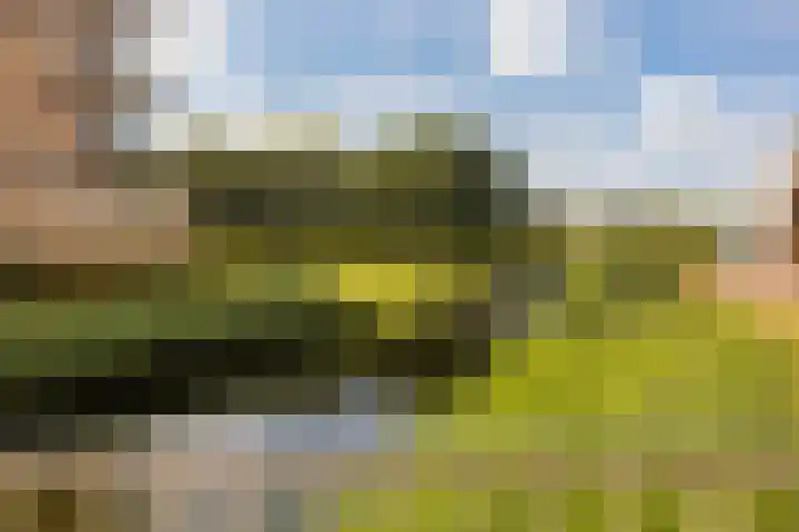 Pachterwaard 39 Arnhem thumbnail 35