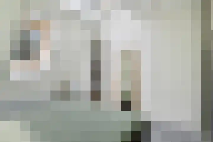 Pachthoeve 32 Berghem thumbnail 28
