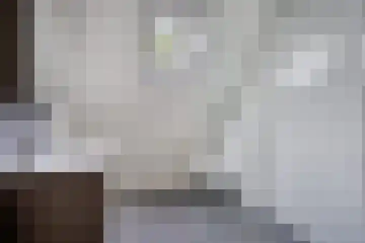 Pachthoeve 32 Berghem thumbnail 30