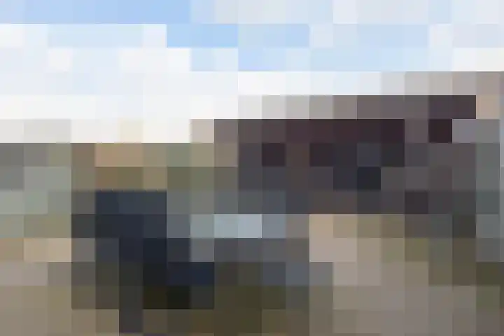 Pad van Arendsoog 2 Wageningen thumbnail 25