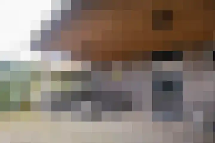 Pad van Arendsoog 2 Wageningen thumbnail 26