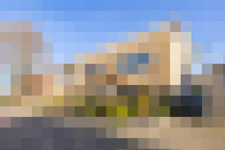 Pad van Arendsoog 2 Wageningen thumbnail 29